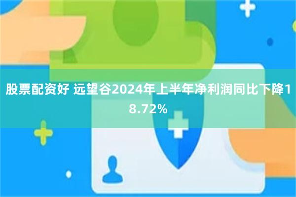 股票配资好 远望谷2024年上半年净利润同比下降18.72%