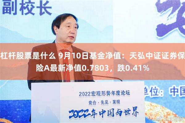 杠杆股票是什么 9月10日基金净值：天弘中证证券保险A最新净值0.7803，跌0.41%