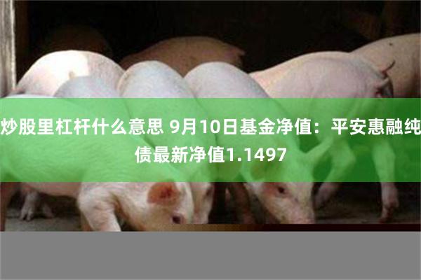 炒股里杠杆什么意思 9月10日基金净值：平安惠融纯债最新净值1.1497