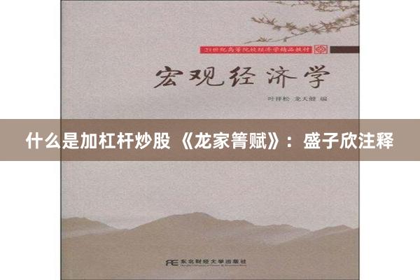 什么是加杠杆炒股 《龙家箐赋》：盛子欣注释