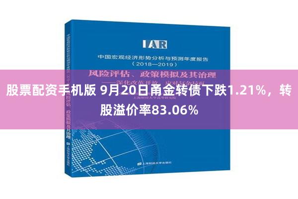 股票配资手机版 9月20日甬金转债下跌1.21%，转股溢价率83.06%