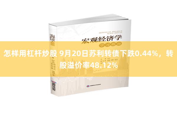 怎样用杠杆炒股 9月20日苏利转债下跌0.44%，转股溢价率48.12%