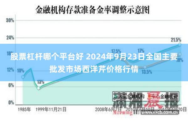 股票杠杆哪个平台好 2024年9月23日全国主要批发市场西洋芹价格行情