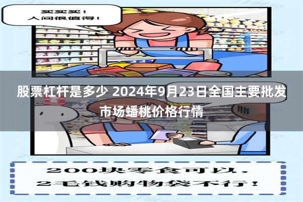 股票杠杆是多少 2024年9月23日全国主要批发市场蟠桃价格行情