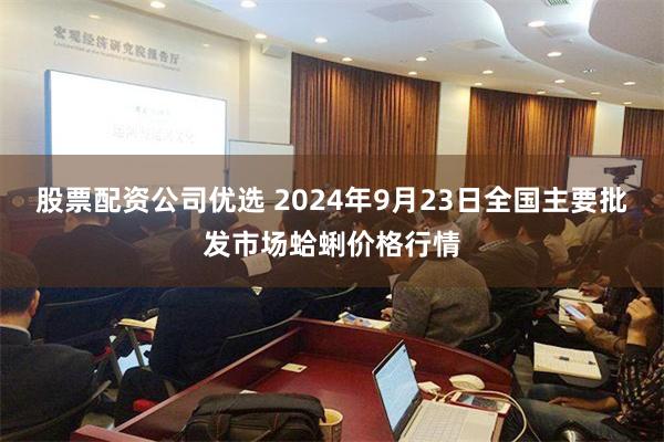 股票配资公司优选 2024年9月23日全国主要批发市场蛤蜊价格行情