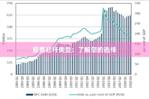 股票杠杆类型：了解您的选择