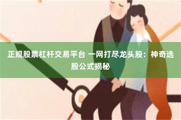 正规股票杠杆交易平台 一网打尽龙头股：神奇选股公式揭秘