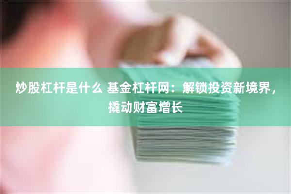 炒股杠杆是什么 基金杠杆网：解锁投资新境界，撬动财富增长