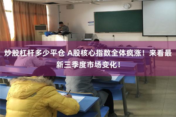 炒股杠杆多少平仓 A股核心指数全体疯涨！来看最新三季度市场变化！