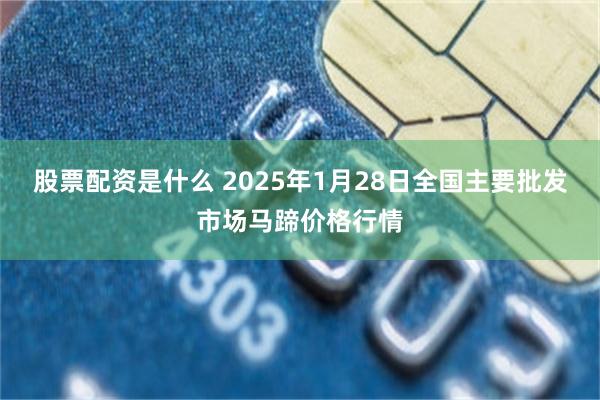 股票配资是什么 2025年1月28日全国主要批发市场马蹄价格行情