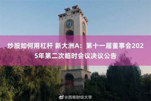 炒股如何用杠杆 新大洲A：第十一届董事会2025年第二次临时会议决议公告