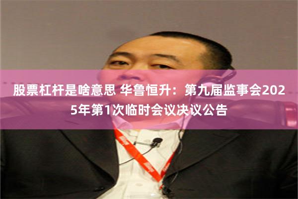 股票杠杆是啥意思 华鲁恒升：第九届监事会2025年第1次临时会议决议公告