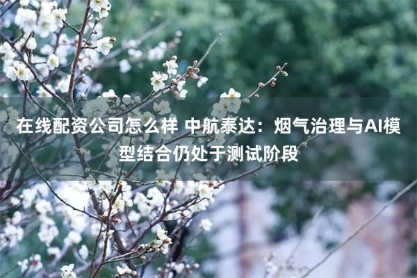 在线配资公司怎么样 中航泰达：烟气治理与AI模型结合仍处于测试阶段