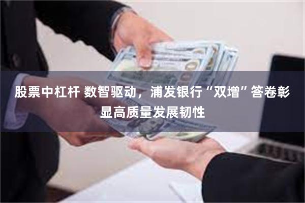 股票中杠杆 数智驱动，浦发银行“双增”答卷彰显高质量发展韧性