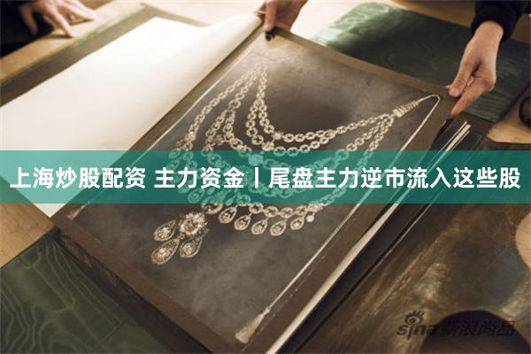 上海炒股配资 主力资金丨尾盘主力逆市流入这些股